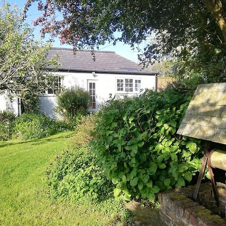 Cozy Country Cottage With Beautiful Rural Views New Quay Eksteriør bilde
