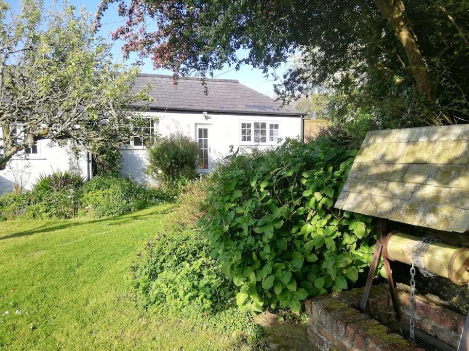 Cozy Country Cottage With Beautiful Rural Views New Quay Eksteriør bilde