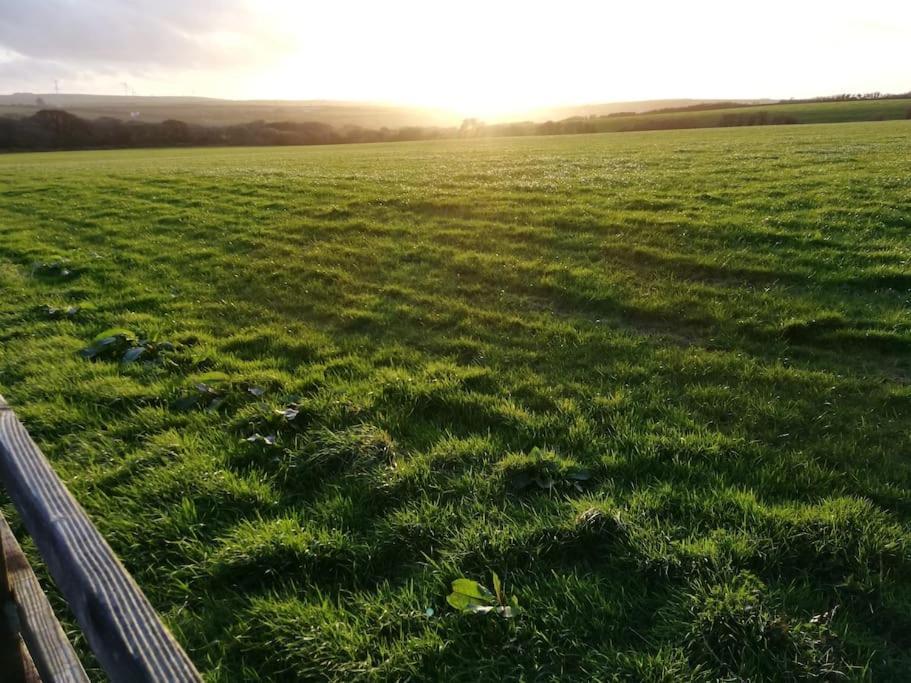 Cozy Country Cottage With Beautiful Rural Views New Quay Eksteriør bilde